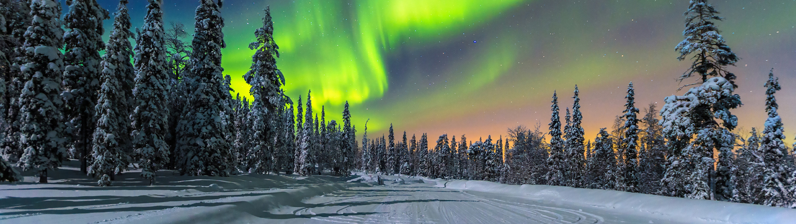 Alaska Iditarod Winter Wonderland