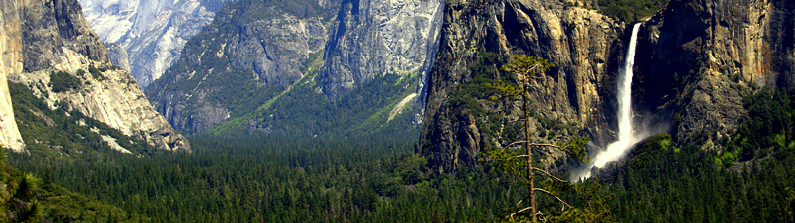 Yosemite National Park