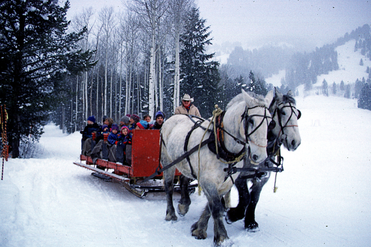 Horse-Drawn Sleigh Ride