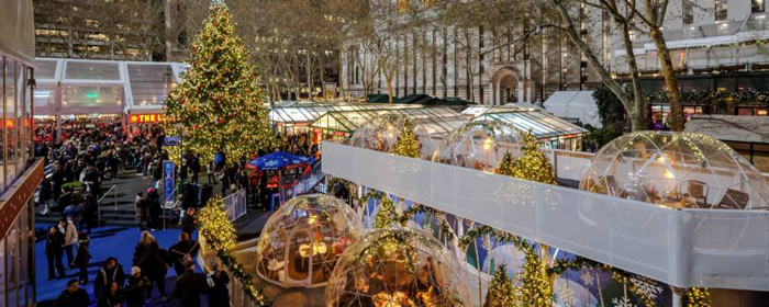 New York Holiday After Christmas<br>(New Tour!)